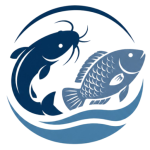 cropped logo 2 removebg preview.png